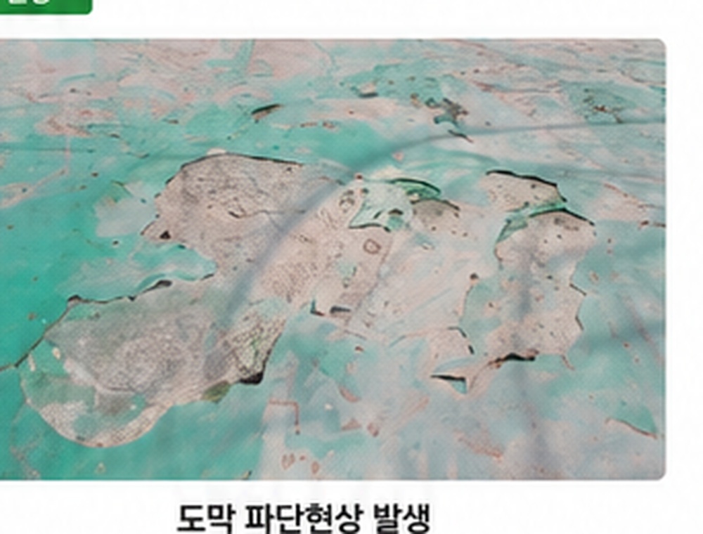 도막 파단현상이 발생한 표면